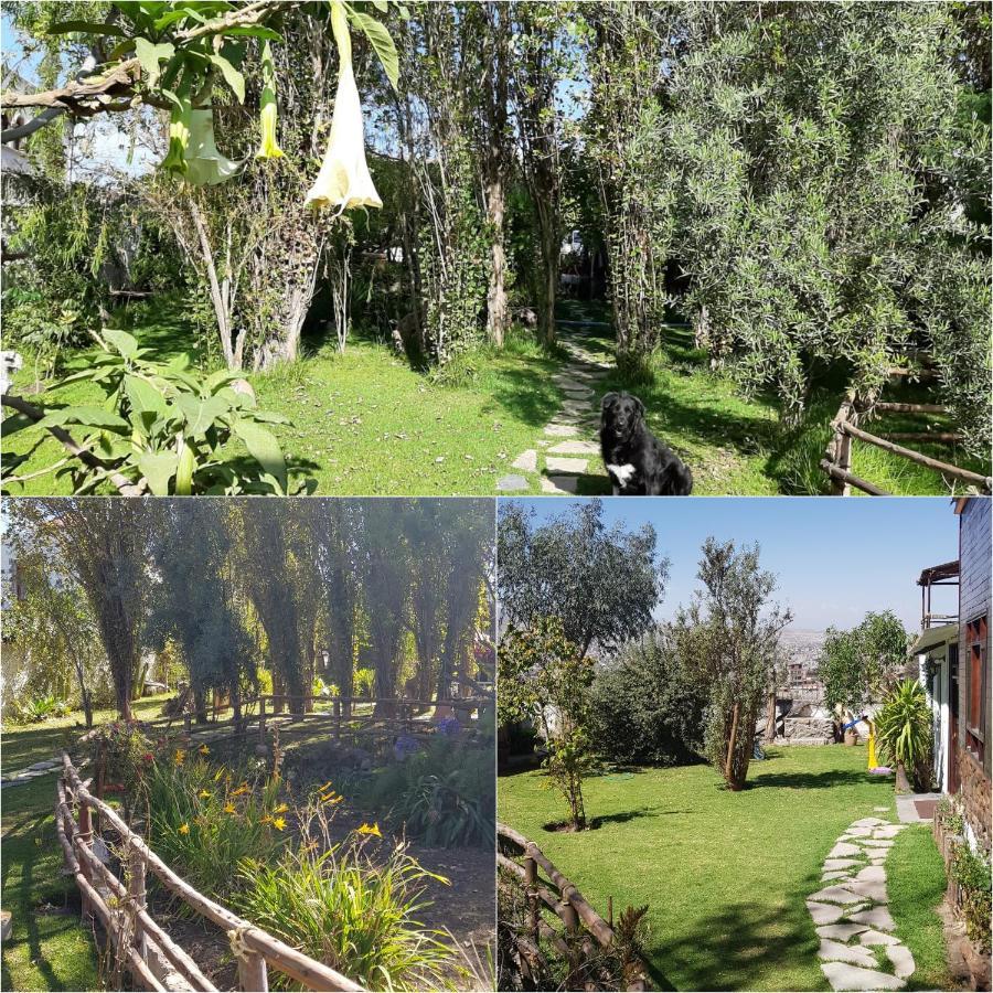 The First Real Bed & Breakfast Hiking Hotel 'The Office' In Arequipa, Peru Экстерьер фото