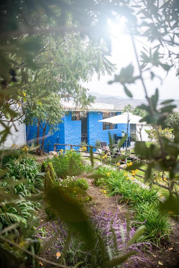The First Real Bed & Breakfast Hiking Hotel 'The Office' In Arequipa, Peru Экстерьер фото