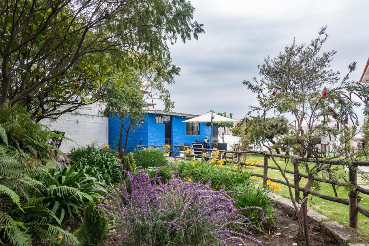 The First Real Bed & Breakfast Hiking Hotel 'The Office' In Arequipa, Peru Экстерьер фото