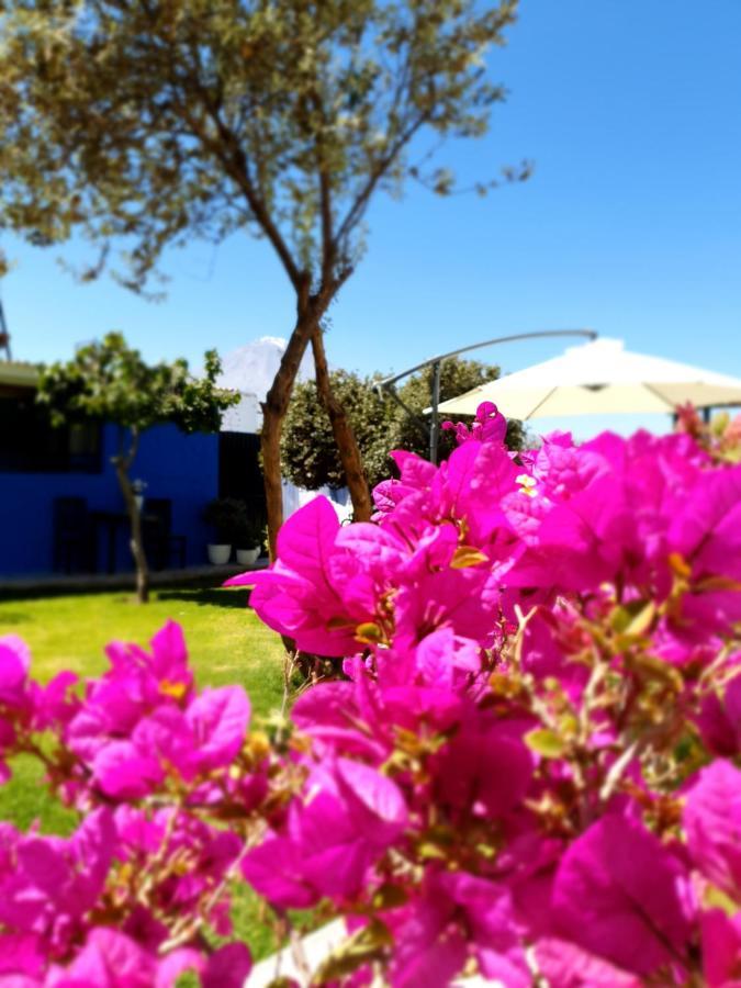 The First Real Bed & Breakfast Hiking Hotel 'The Office' In Arequipa, Peru Экстерьер фото